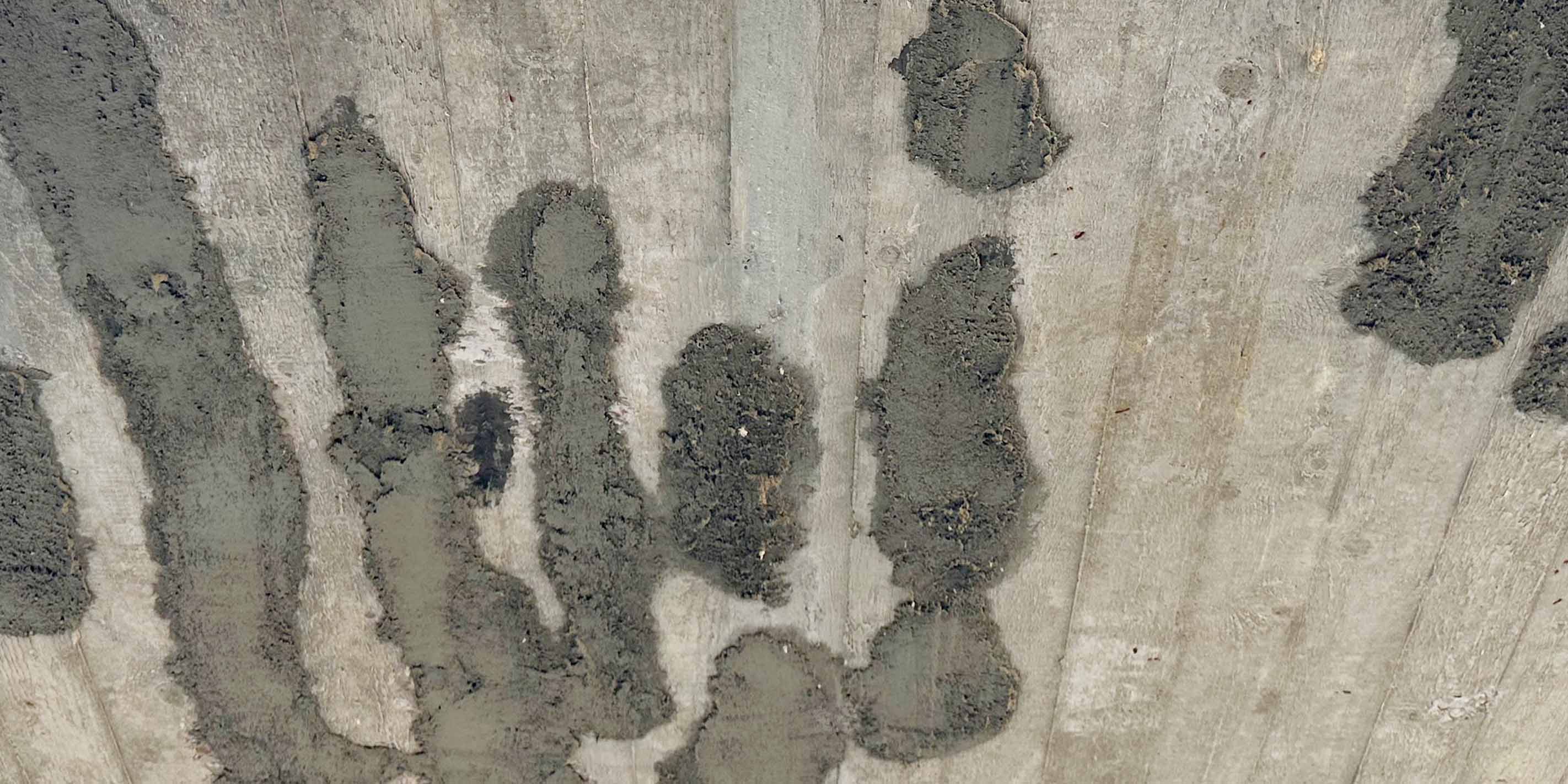 Leistungen Orbit Werk